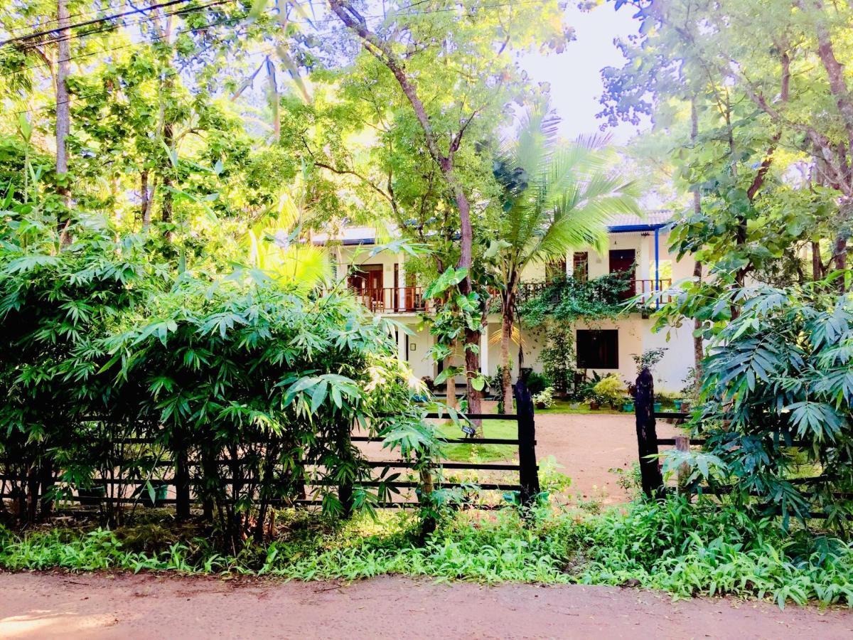 Sigiri Rainbow Lodge